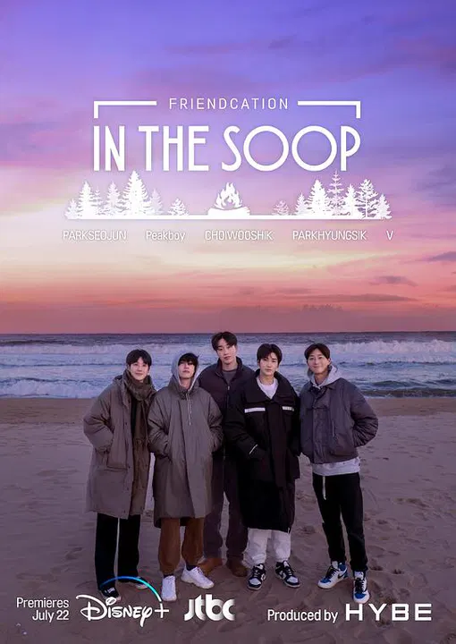 【日韩综艺】In the SOOP：友情旅行
